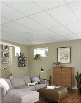 Armstrong Ceilings 4-ft x 2-ft Random Textured Contractor White Mineral fiber Drop Ceiling Tile ( 10 -Pack, 80-sq ft / Case )